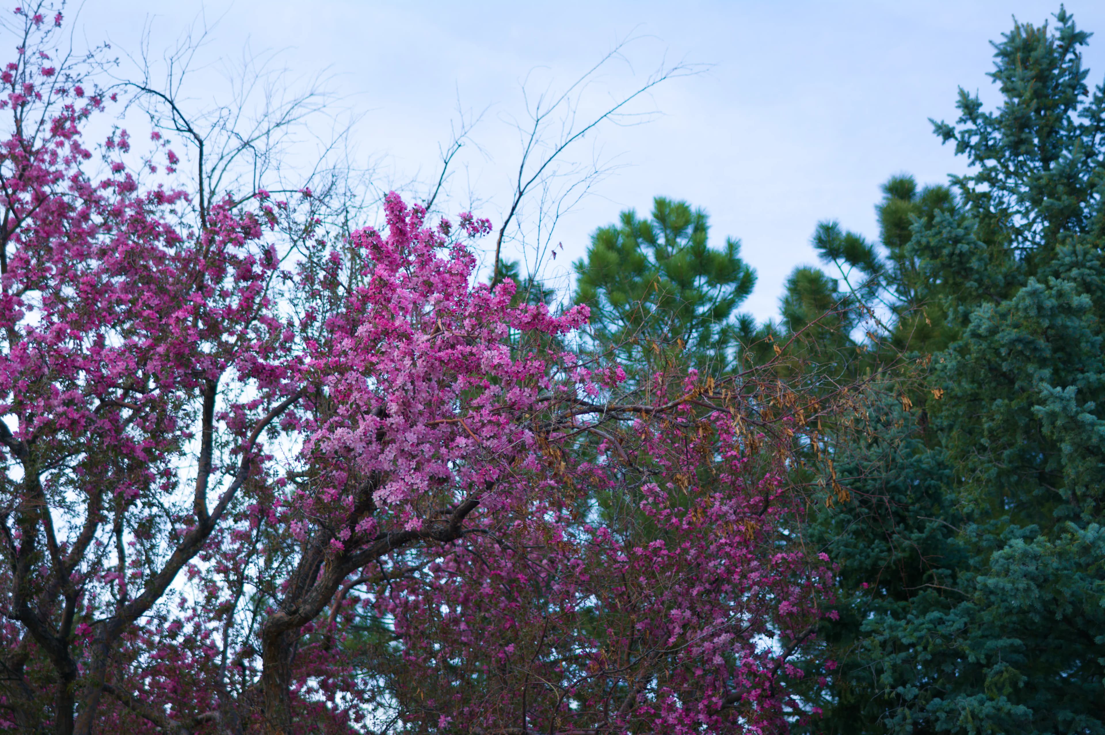 Photography As Meditation