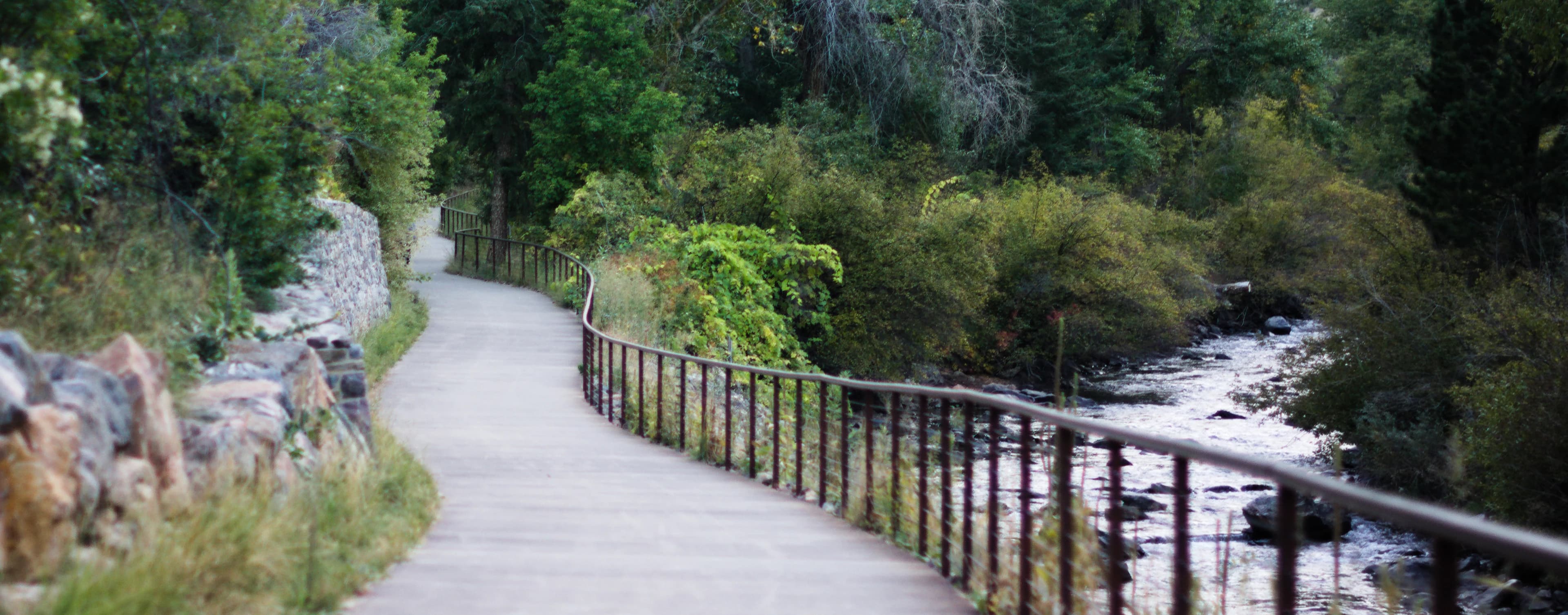 Footguns of the Rust Webassembly Target