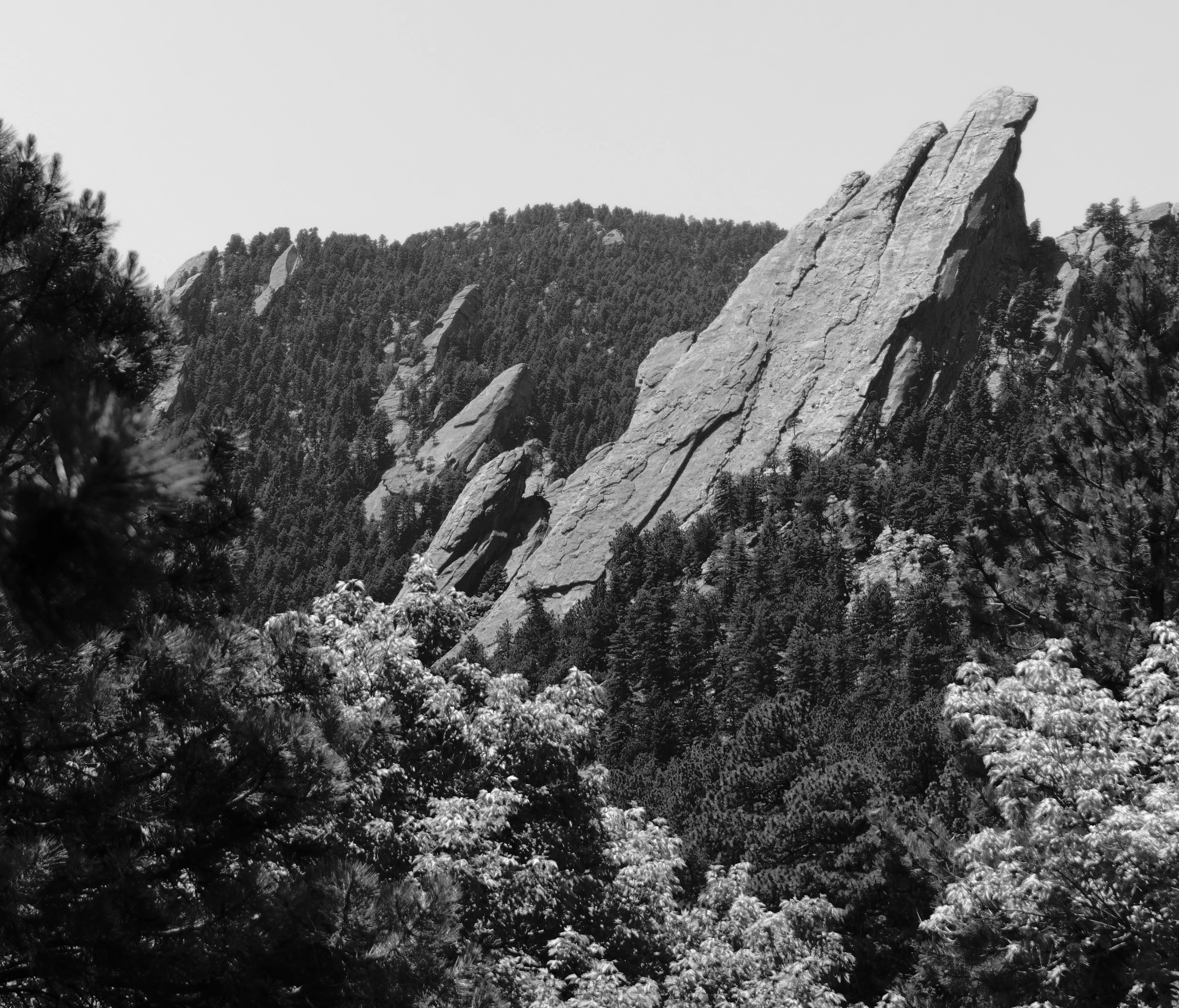 The Flatirons